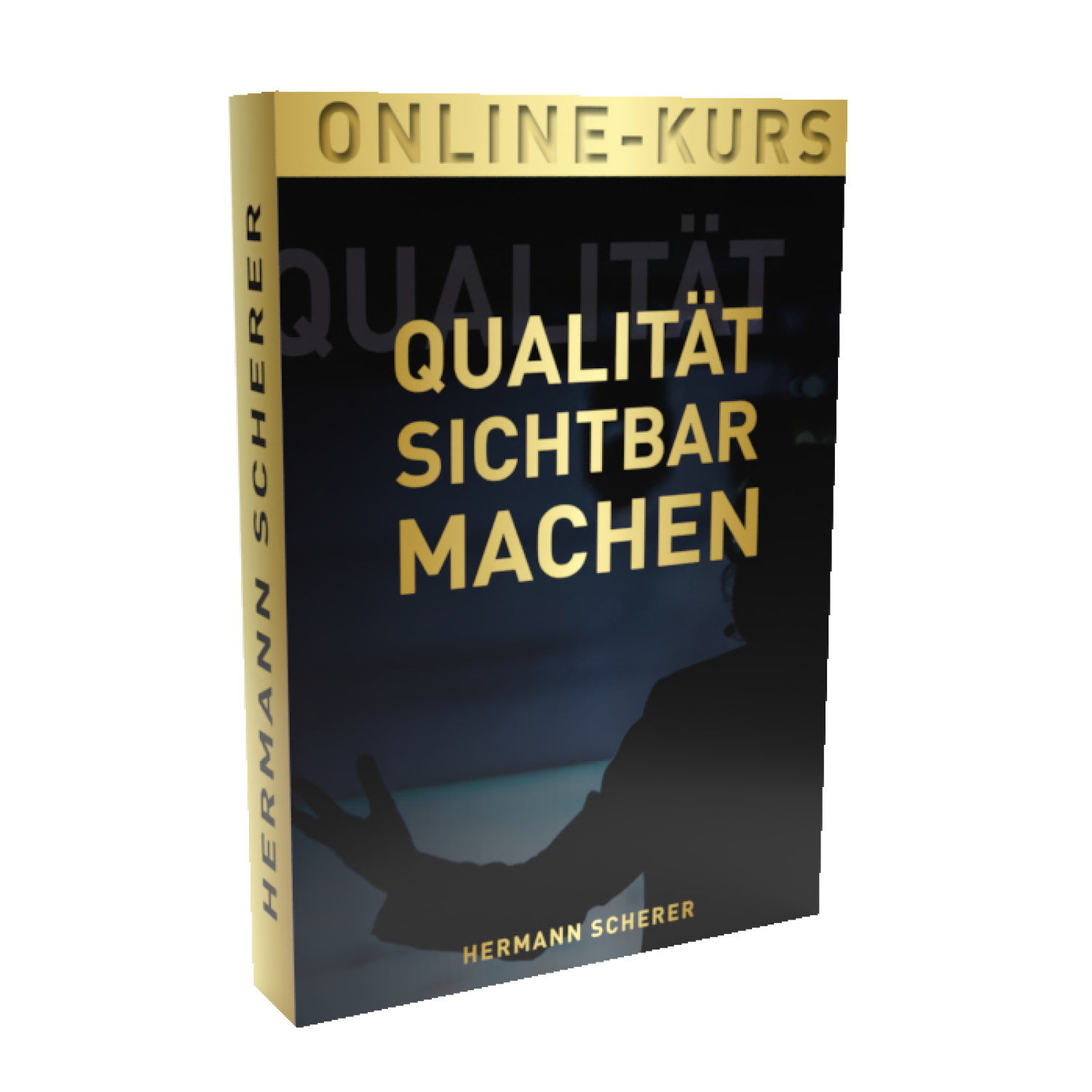 Online Kurs Qulität Sichtbar Machen von Hermann Scherer